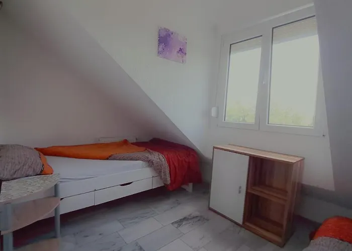 Prince, Nur Fuer Handwerker Auch Langfristig, Naehe Ingolstadt